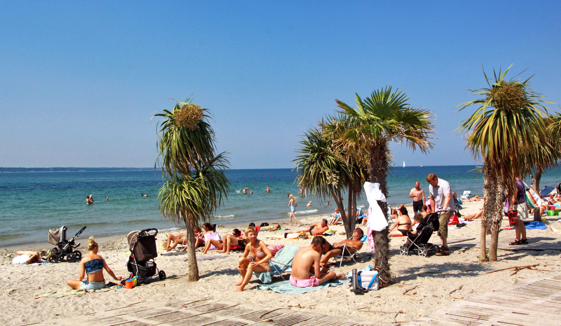 Palmer och badgäster på Tropical Beach i Helsingborg